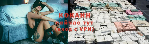 мдпв Бронницы