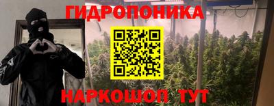 твердый Берёзовский