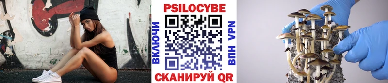 гидра ТОР  Видное  площадка состав  Псилоцибиновые грибы Magic Shrooms 