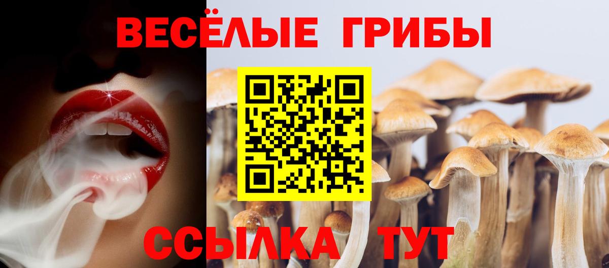 закладка  Вход с VPN  Видное  Галлюциногенные грибы Magic Shrooms 